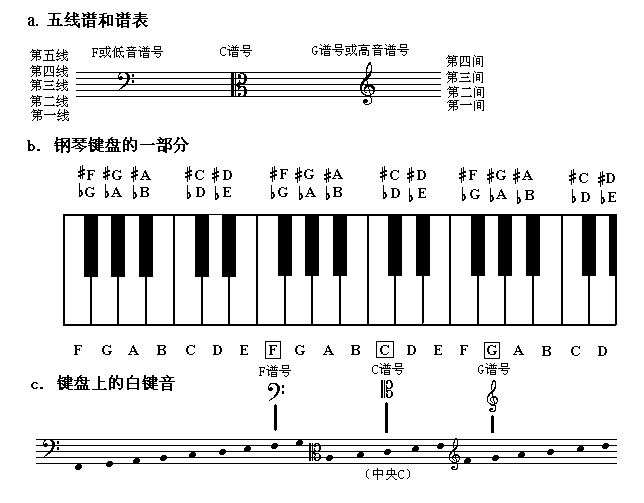 初学者怎么看钢琴琴谱?