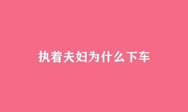 执着夫妇为什么下车