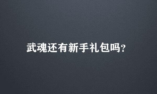 武魂还有新手礼包吗？