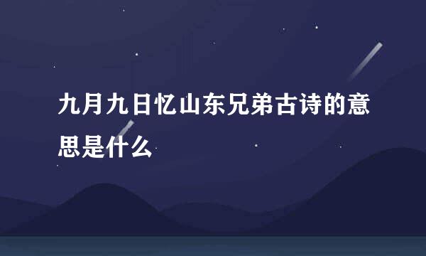 九月九日忆山东兄弟古诗的意思是什么