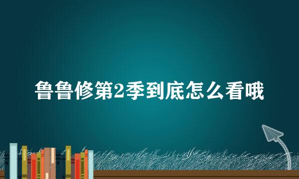 鲁鲁修第2季到底怎么看哦