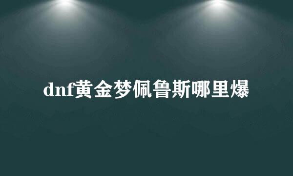 dnf黄金梦佩鲁斯哪里爆