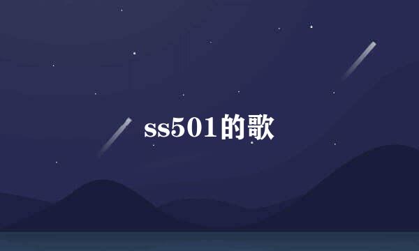 ss501的歌