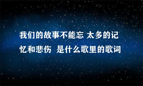 我们的故事不能忘 太多的记忆和悲伤  是什么歌里的歌词