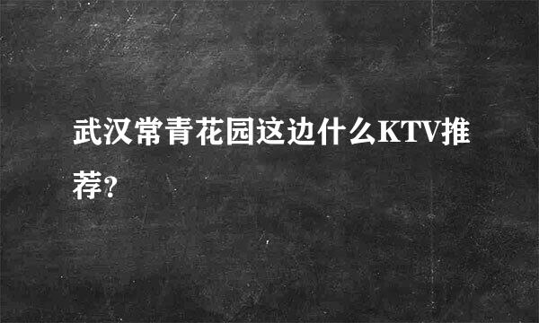 武汉常青花园这边什么KTV推荐？