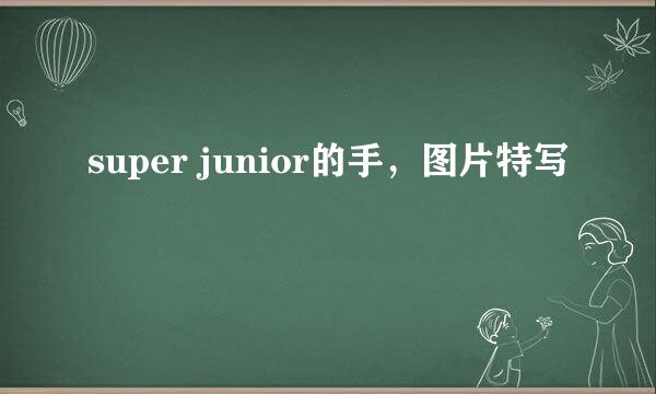 super junior的手，图片特写