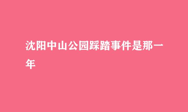 沈阳中山公园踩踏事件是那一年