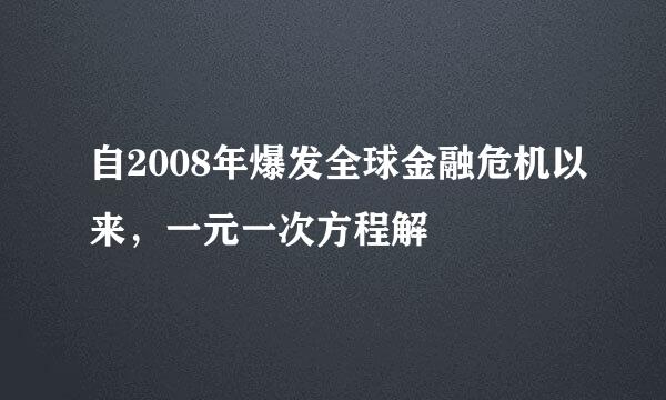 自2008年爆发全球金融危机以来，一元一次方程解