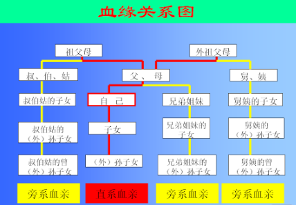 什么是三代以内旁系血亲