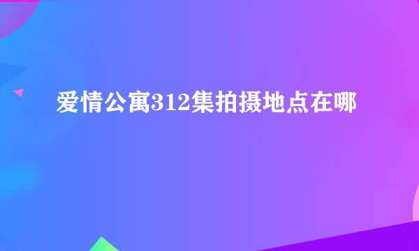 爱情公寓312集拍摄地点在哪