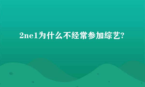 2ne1为什么不经常参加综艺?