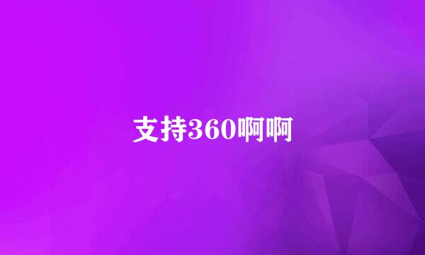 支持360啊啊