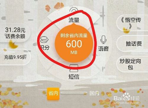 电信卡怎么查剩余流量