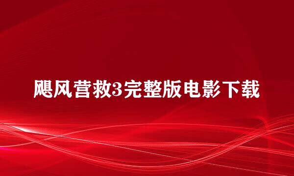 飓风营救3完整版电影下载