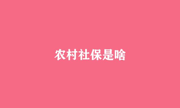 农村社保是啥