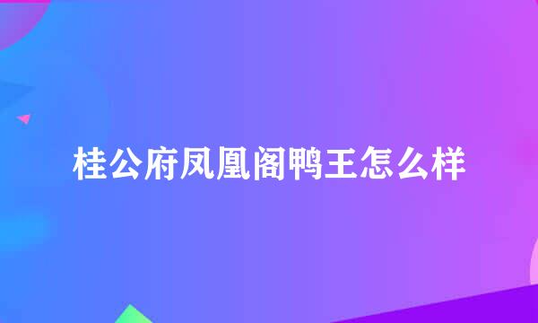 桂公府凤凰阁鸭王怎么样