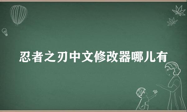 忍者之刃中文修改器哪儿有