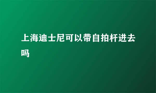 上海迪士尼可以带自拍杆进去吗