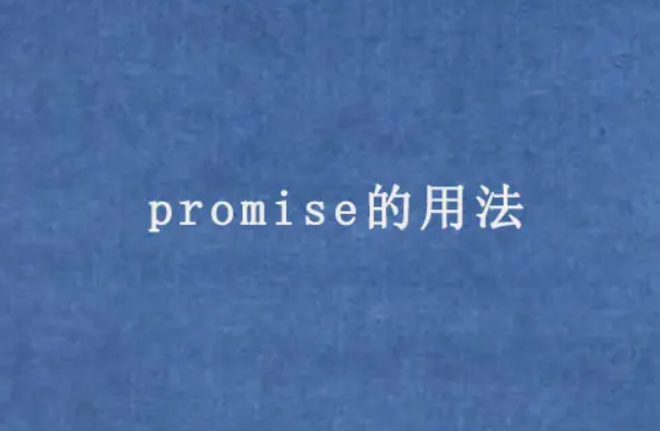 promise是什么意思英语