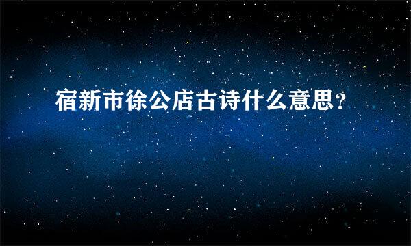 宿新市徐公店古诗什么意思？