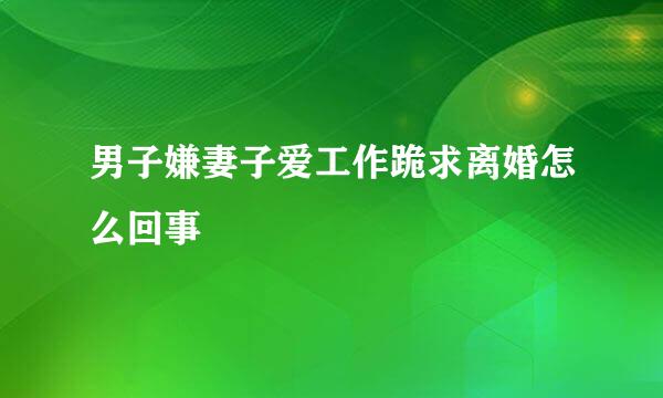 男子嫌妻子爱工作跪求离婚怎么回事