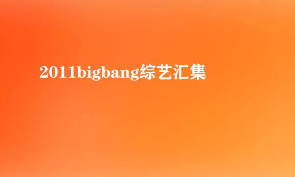 2011bigbang综艺汇集