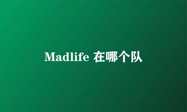 Madlife 在哪个队