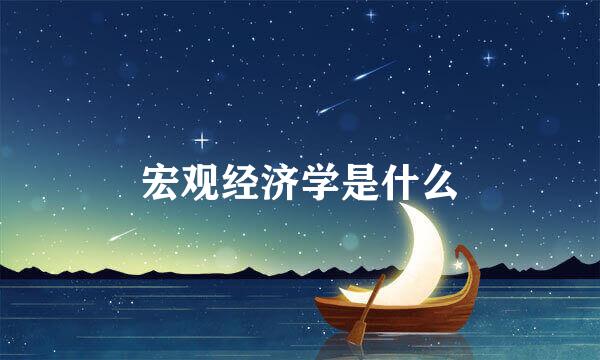 宏观经济学是什么