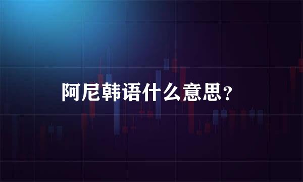 阿尼韩语什么意思？