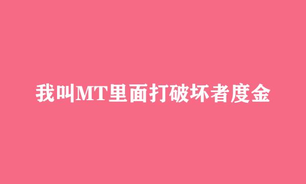 我叫MT里面打破坏者度金