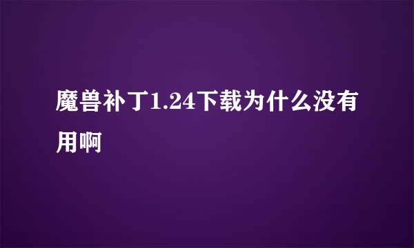 魔兽补丁1.24下载为什么没有用啊