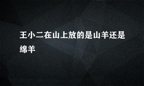 王小二在山上放的是山羊还是绵羊