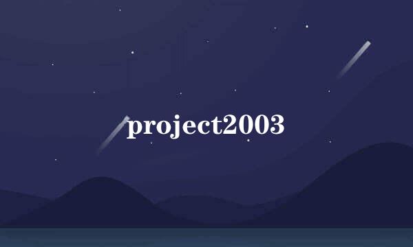 project2003