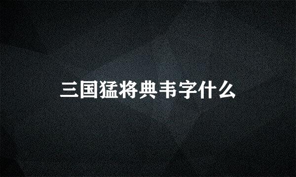 三国猛将典韦字什么