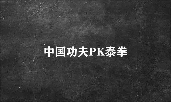 中国功夫PK泰拳