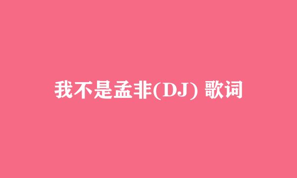 我不是孟非(DJ) 歌词