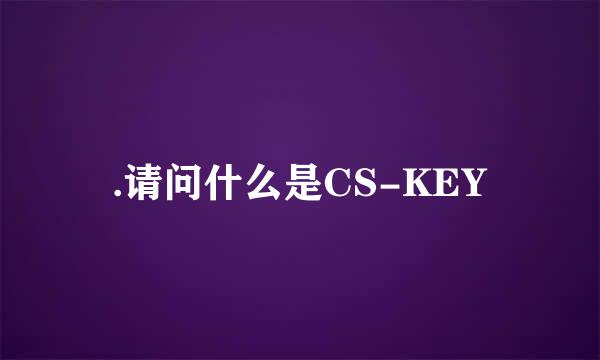 .请问什么是CS-KEY