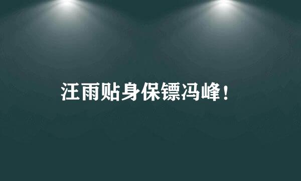 汪雨贴身保镖冯峰！