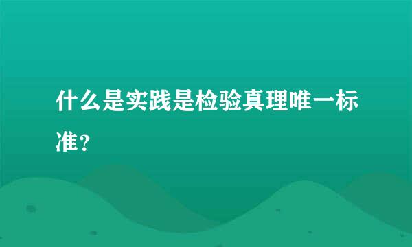 什么是实践是检验真理唯一标准？