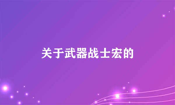 关于武器战士宏的