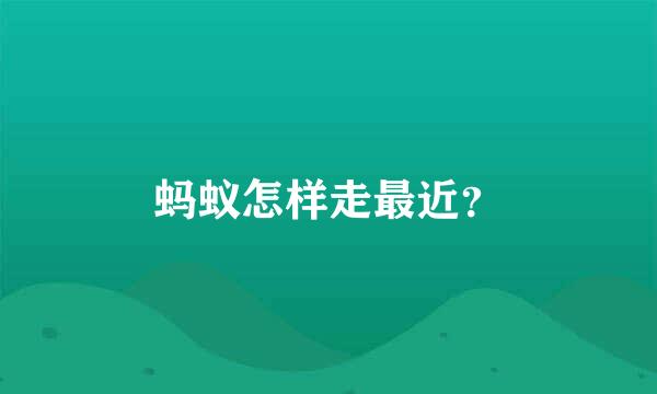 蚂蚁怎样走最近？