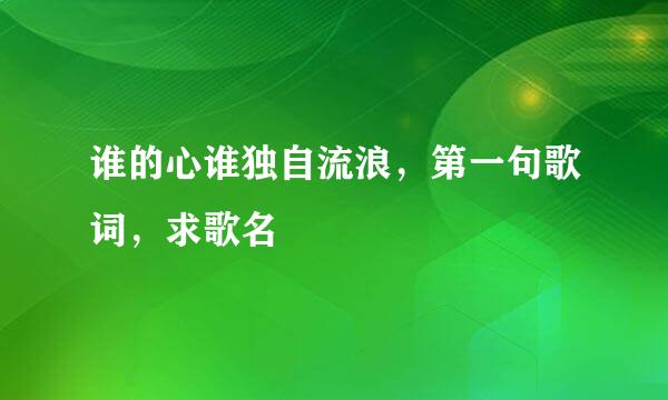 谁的心谁独自流浪，第一句歌词，求歌名