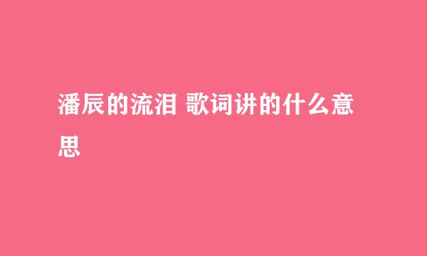 潘辰的流泪 歌词讲的什么意思