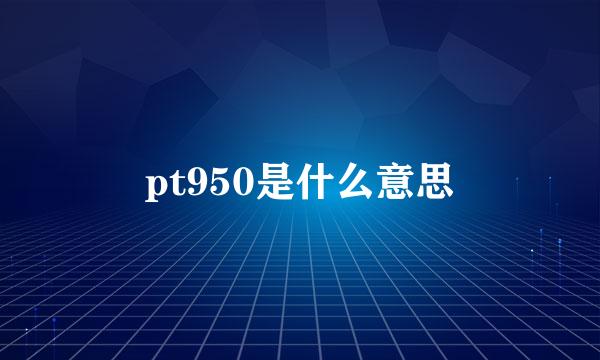 pt950是什么意思