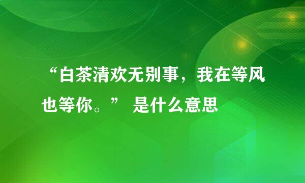 “白茶清欢无别事，我在等风也等你。” 是什么意思