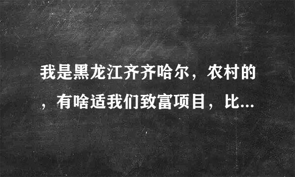 我是黑龙江齐齐哈尔，农村的，有啥适我们致富项目，比如养殖，种植，