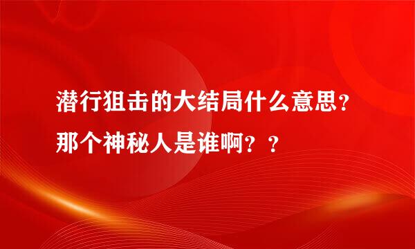 潜行狙击的大结局什么意思？那个神秘人是谁啊？？