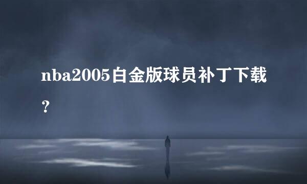 nba2005白金版球员补丁下载？