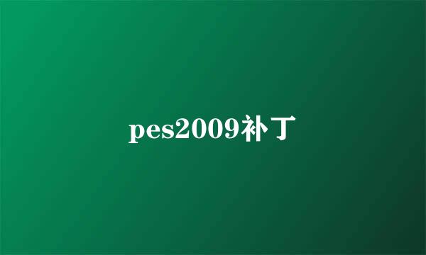 pes2009补丁