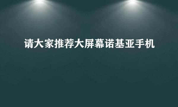 请大家推荐大屏幕诺基亚手机